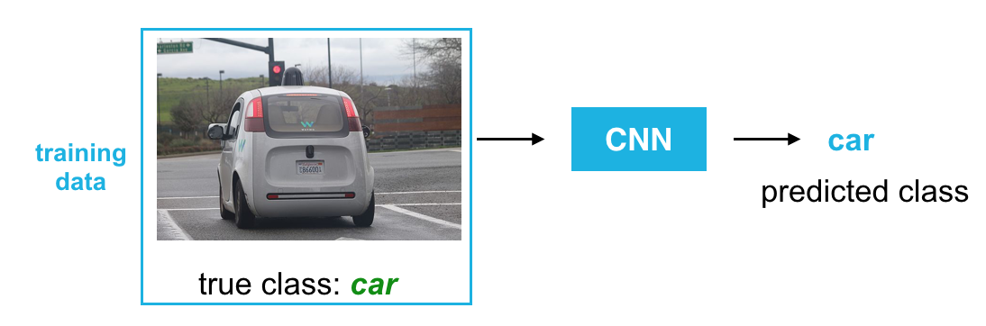 True and predicted class labels for a car image.