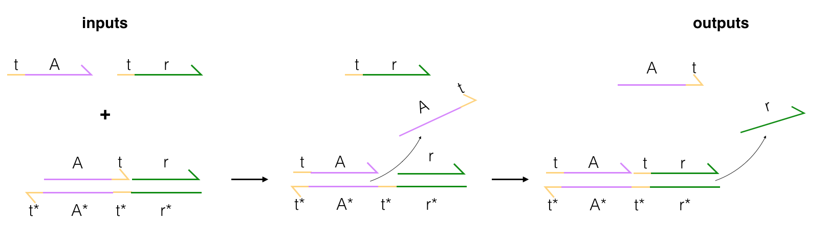 DNA logic gate with some input and output strands.