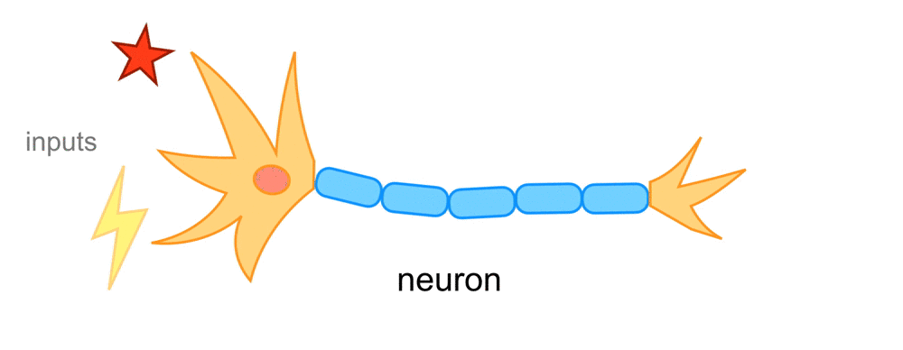 Input signals and produced output for a neuron.